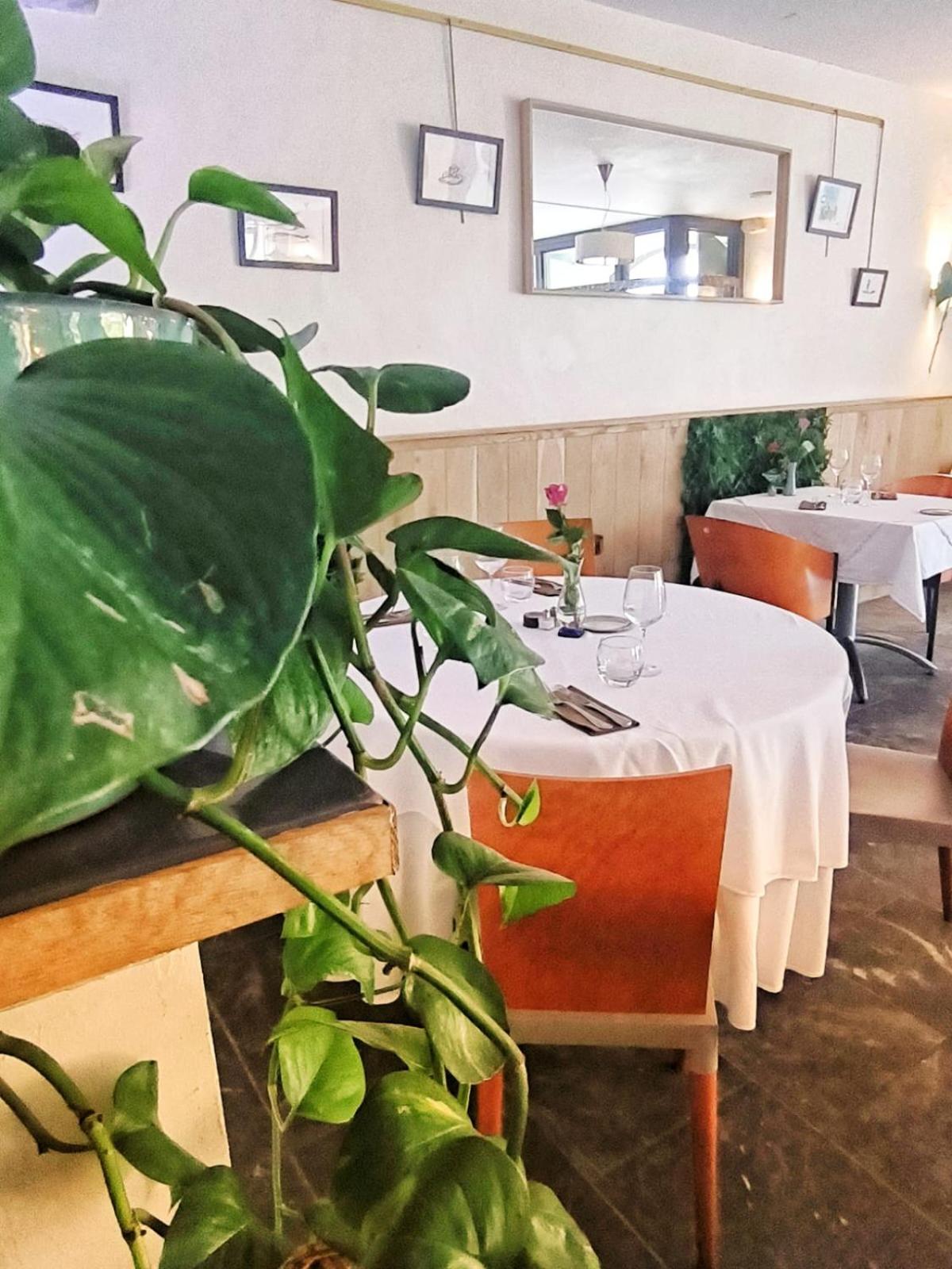 Cette-Eygun Chateau D'Arance Hotel Restaurant Espace Bien-Etre מראה חיצוני תמונה